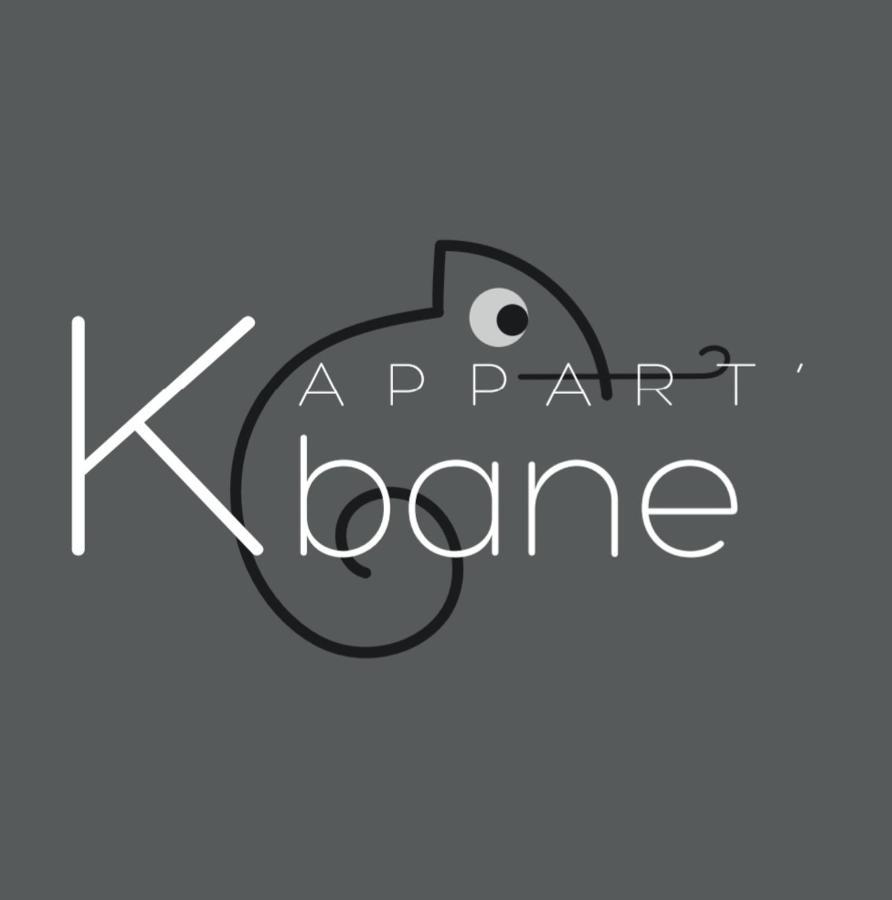 L'Appart K-Bane- Wifi Fibre- Checkin Auto- 2 Pers Le Mans Luaran gambar